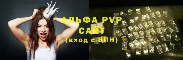 стаф Пересвет