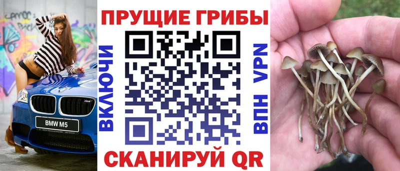 даркнет сайт  Порхов  Галлюциногенные грибы GOLDEN TEACHER 